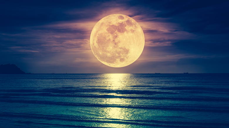 A full moon rises over the ocean 