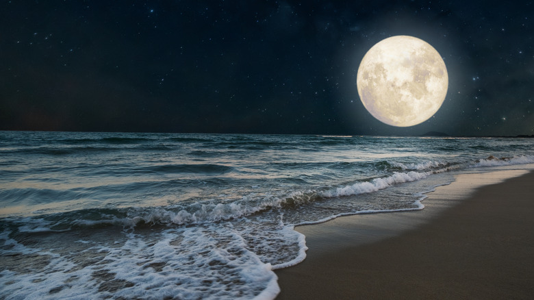 A full moon over the beach. 