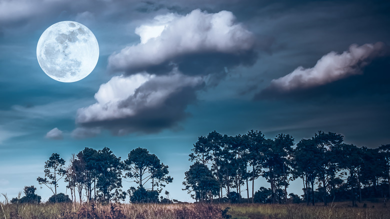 A full moon and clouds in the sky. 