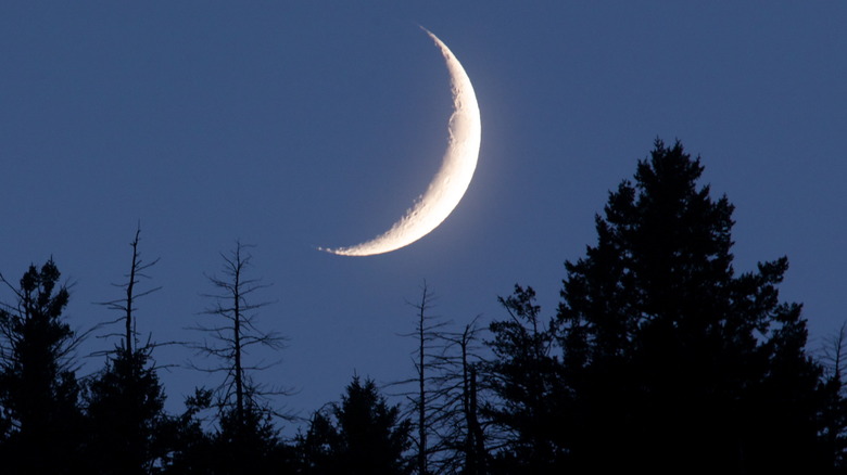 A crescent moon in the sky. 