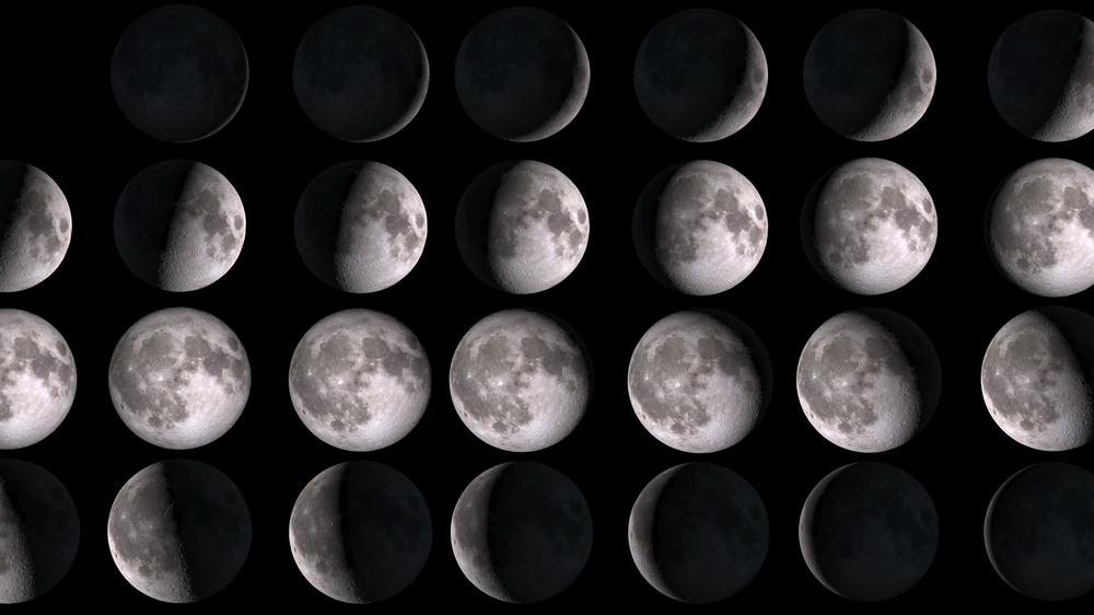 Phases of the moon 