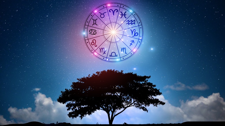 A zodiac circle over a tree. 