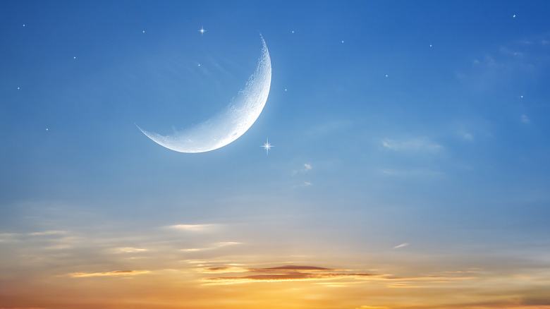 A crescent moon in the sky. 
