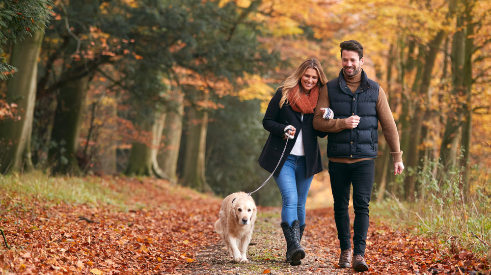 A young couple walking a dog