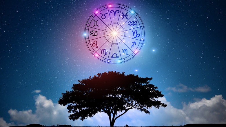 A zodiac wheel in the sky above a tree 