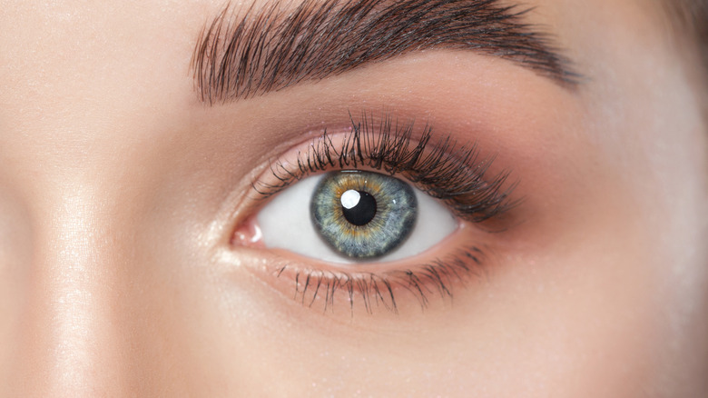 Woman's eye with nude makeup