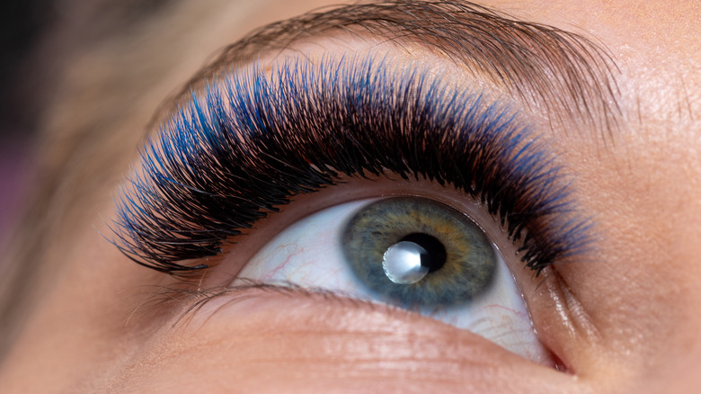 Eyelashes with blue tips