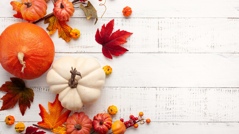 Mini pumpkins and fall leaves