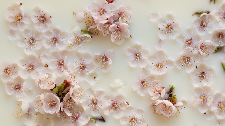 Milk bath with flowers