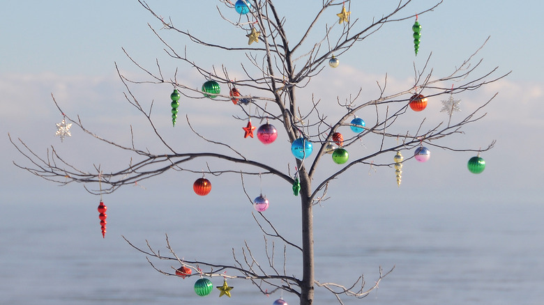 leafless tree decorated with ornaments