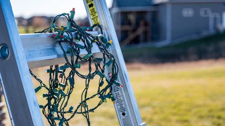 brightly-colored holiday lights hang from ladder
