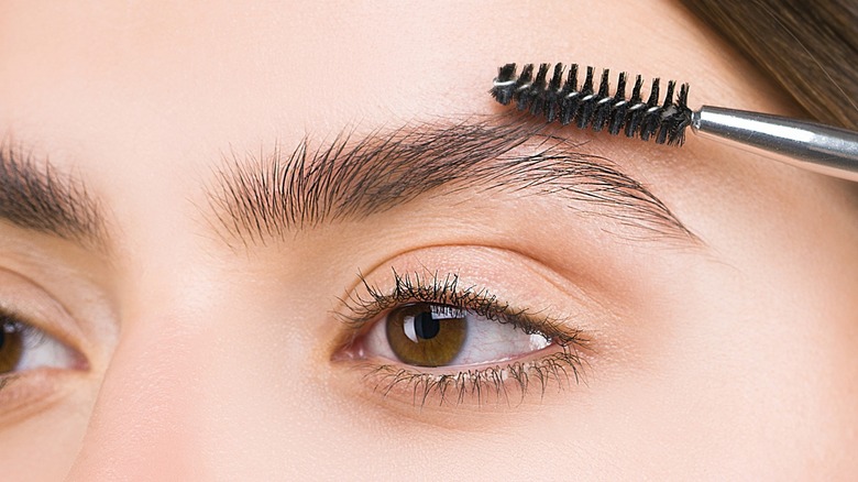 Closeup of person combing eyebrows