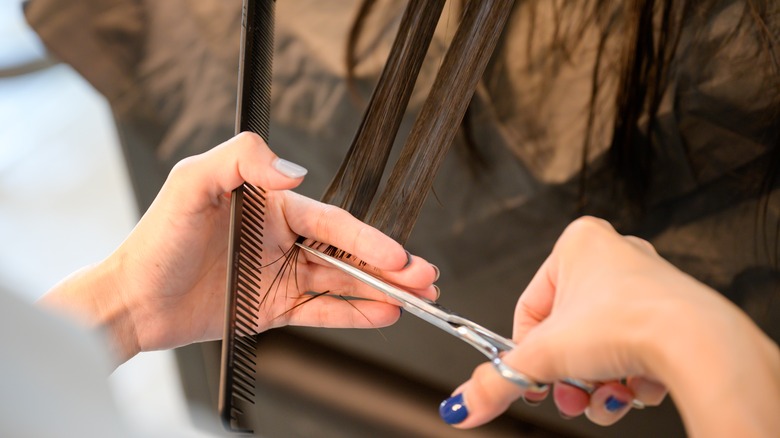 Woman getting hair trimmed