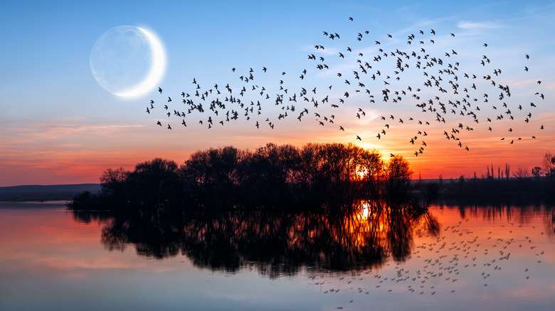 New moon over a sunset over the water