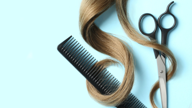 Hair, scissors, and a comb sitting on a baby blue background