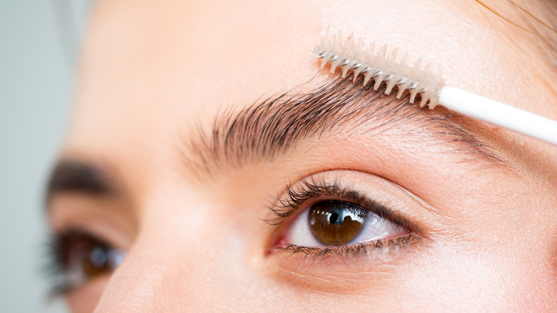 Woman brushing eyebrows