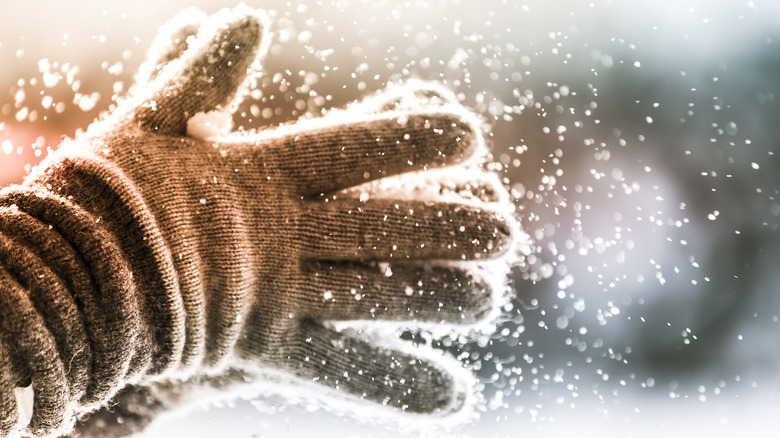 Gloved hands covered in snow