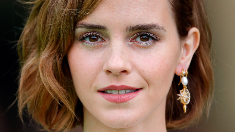 Replicate Emma Watson S Makeup Routine