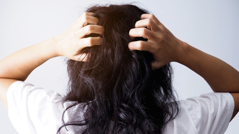 frizzy hair close up 