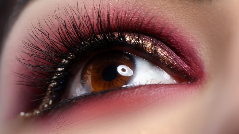 Brown eye with burgundy makeup