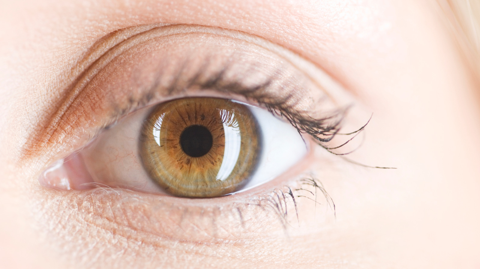 Hazel eyes have a brown ring around the iris and either green or blue color...