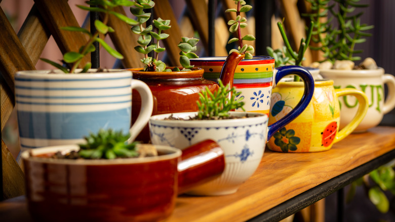 Upcycled plant holders from kitchen wares