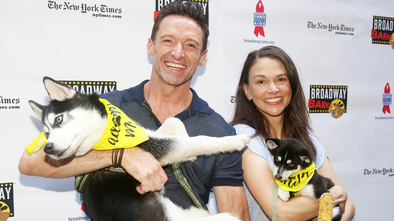 Hugh Jackman and Sutton Foster holding dogs