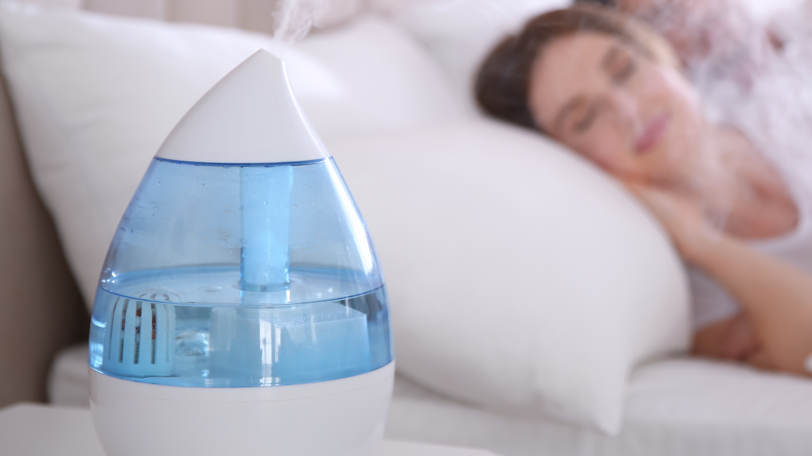 Humidifier Vs. Diffuser What's The Difference
