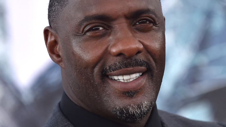 Idris Elba poses for the camera