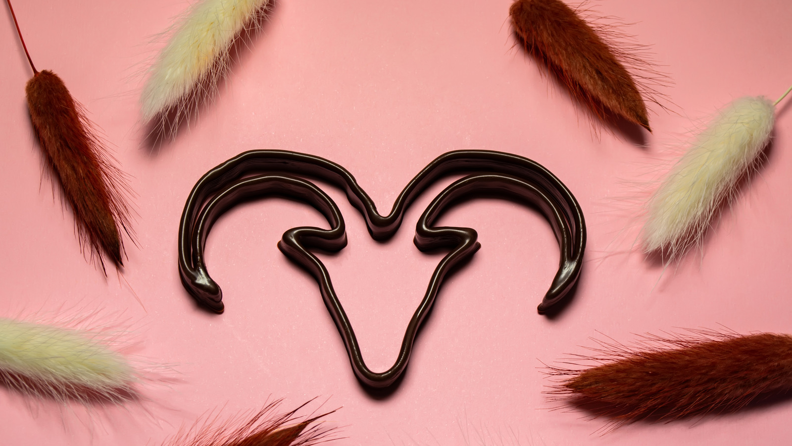 If You're A Capricorn, Here's The Adult Toy You Should Try