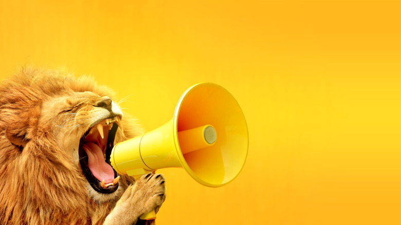 A lion with a megaphone