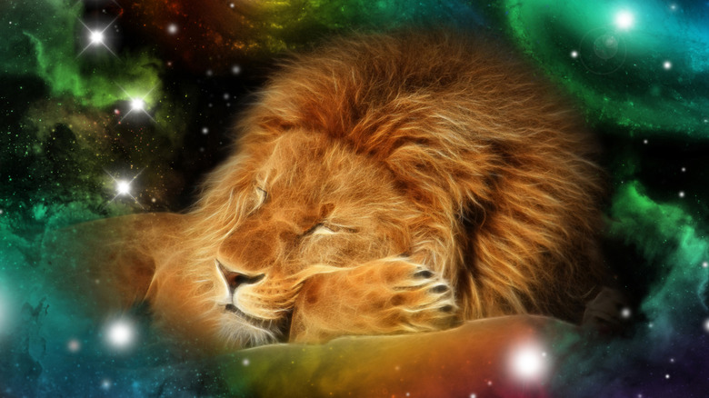 Lion Leo star sign 