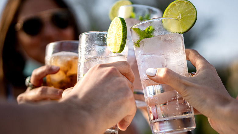 Friends cheers their cocktails