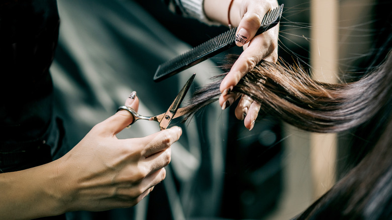 Close up of hair being cut