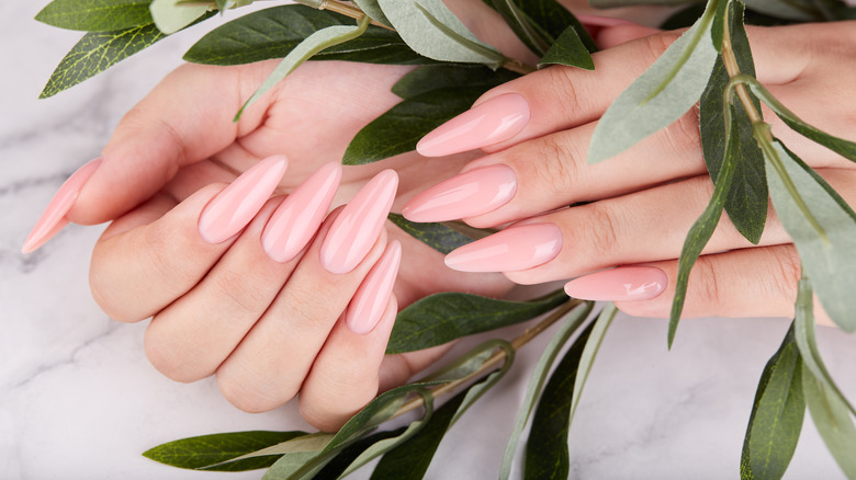 hands with pink nails in between a fake vine