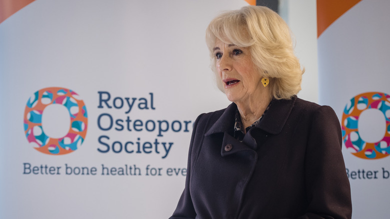 Queen Camilla speaking