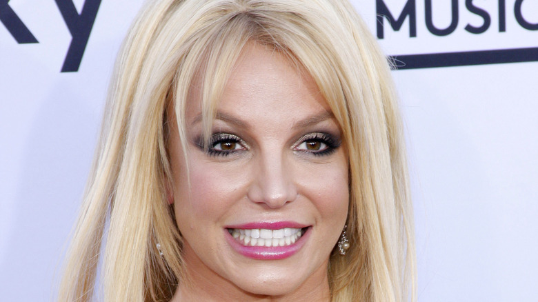 Inside Britney Spears' Relationship With Jodi Montgomery