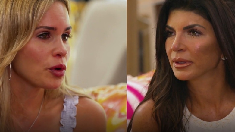 Teresa Giudice and Jackie Goldschneider screenshot