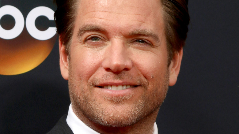 Michael Weatherly smiling on the red carpet