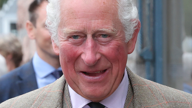 Prince Charles smiles