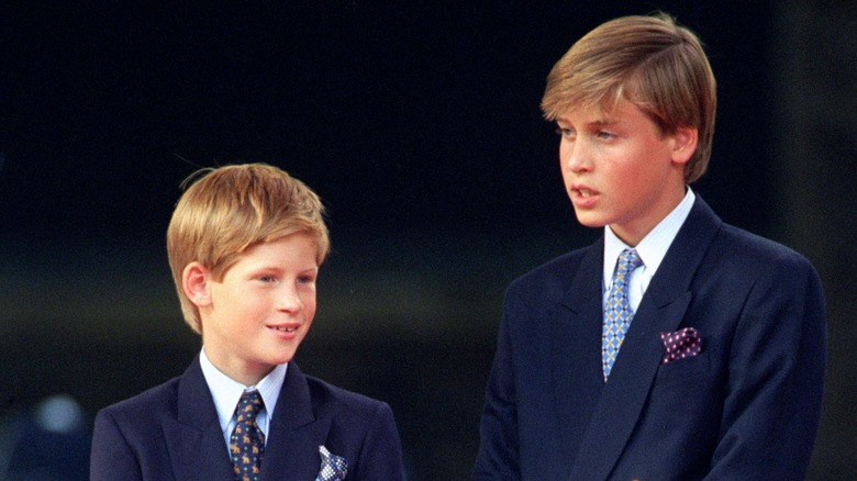 Young William and Harry