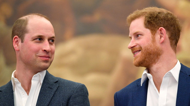 William and Harry looking at each other 