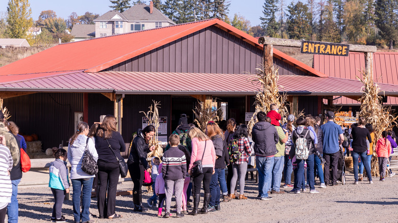 Visitors waiting at Roloff Farm