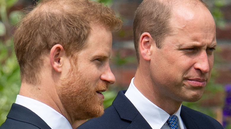 Prince William and Prince Harry pose