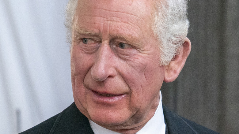 Prince Charles looking to the side 