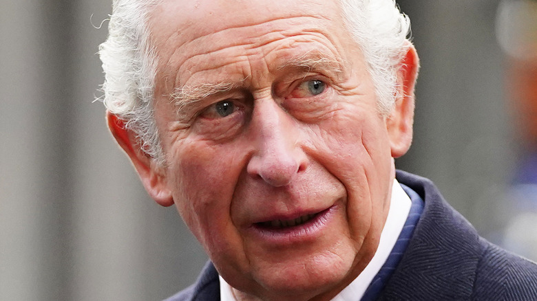 Prince Charles smiling