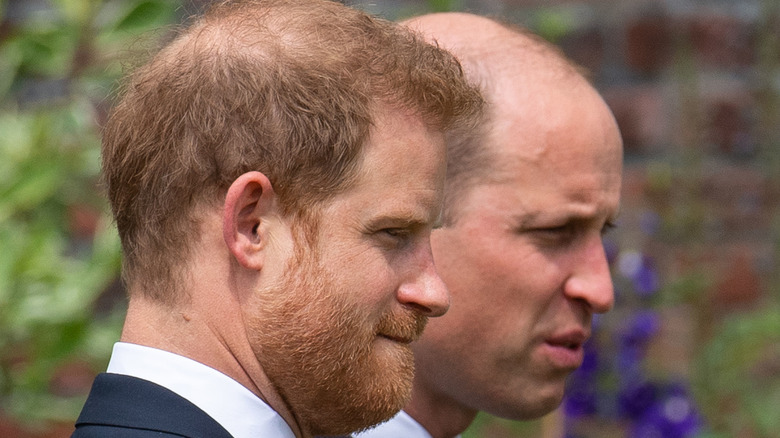 Prince Harry and Prince William