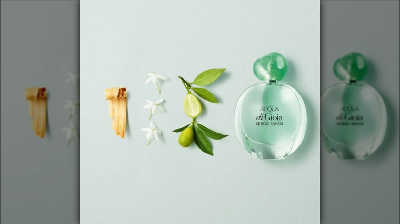 Acqua di Gioia perfume