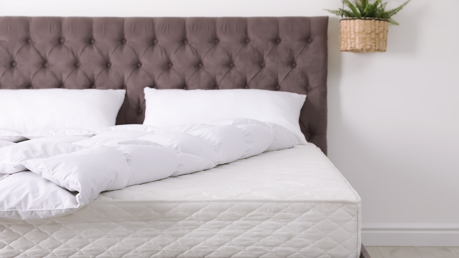 Is An Organic Mattress Really Worth The Money?