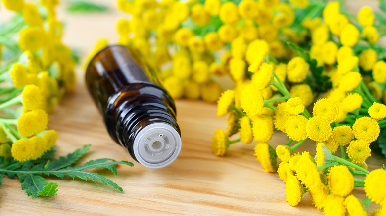 Bottle and flowers